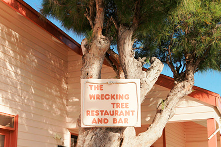 The Wrecking Tree has been completely rebuild post-Dorian in New Plymouth.