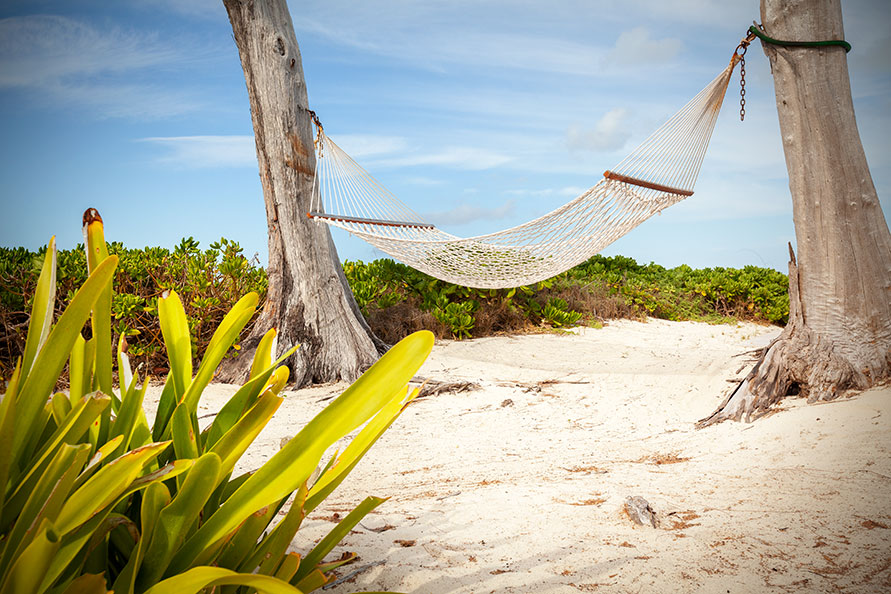 Relax in the beachside hammock.