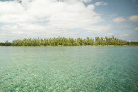 Manjack Cay by boat or with a guide makes for a beautiful picnic.